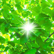 ヒメ日記 2025/05/04 11:33 投稿 れいか【梅田堂山女学院】 梅田堂山女学院