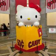 ヒメ日記 2025/05/12 12:29 投稿 れいか【梅田堂山女学院】 梅田堂山女学院