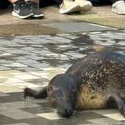 ヒメ日記 2025/05/25 12:14 投稿 れいか【梅田堂山女学院】 梅田堂山女学院