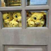 ヒメ日記 2025/06/11 15:38 投稿 ありさ マドンナ浜松町