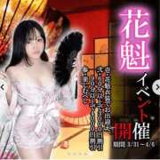 ヒメ日記 2025/04/03 11:30 投稿 つぼね ホワイトハウス