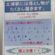 ヒメ日記 2025/05/08 11:30 投稿 つぼね ホワイトハウス