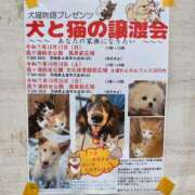 ヒメ日記 2025/10/04 11:30 投稿 つぼね ホワイトハウス