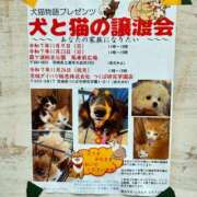 つぼね 出勤しました ホワイトハウス