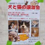 つぼね 出勤しました ホワイトハウス