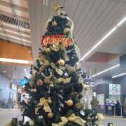 ヒメ日記 2025/12/13 11:31 投稿 つぼね ホワイトハウス