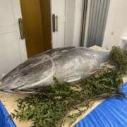 ヒメ日記 2025/01/13 20:32 投稿 ヒトミ Club 妻