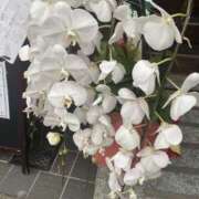 ヒメ日記 2025/01/19 19:32 投稿 ヒトミ Club 妻