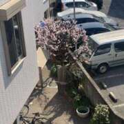 ヒメ日記 2025/03/02 18:23 投稿 ヒトミ Club 妻