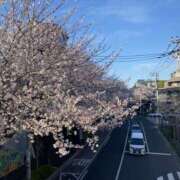 ヒメ日記 2025/04/07 20:08 投稿 ヒトミ Club 妻