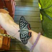 ヒメ日記 2025/08/05 20:52 投稿 ヒトミ Club 妻