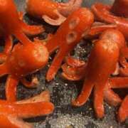 ヒメ日記 2025/12/16 22:22 投稿 ヒトミ Club 妻