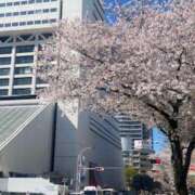 ヒメ日記 2026/04/02 14:56 投稿 ヒトミ Club 妻