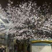 ヒメ日記 2026/04/07 20:46 投稿 ヒトミ Club 妻