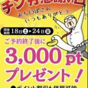 ヒメ日記 2023/11/18 11:28 投稿 れんか 即アポマダム～名古屋店～