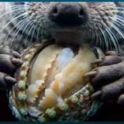 ヒメ日記 2026/02/19 19:17 投稿 れんか 即アポ奥さん〜名古屋店〜