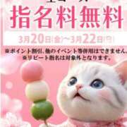 ヒメ日記 2026/03/20 08:32 投稿 れんか 即アポ奥さん〜名古屋店〜