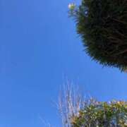 ヒメ日記 2025/09/30 08:19 投稿 ゆき めっちゃスイスク梅田店