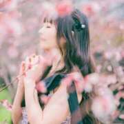 ヒメ日記 2025/02/28 14:56 投稿 松本千冬 皇帝別館（こうていべっかん）