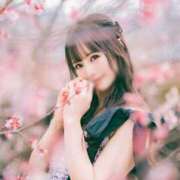 ヒメ日記 2025/04/12 21:43 投稿 松本千冬 皇帝別館（こうていべっかん）