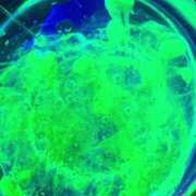 ヒメ日記 2025/04/16 19:11 投稿 松本千冬 皇帝別館（こうていべっかん）