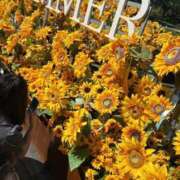 ヒメ日記 2025/08/28 13:31 投稿 れな Candy×Candy （キャンディ×キャンディ）