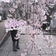 ヒメ日記 2025/04/03 16:24 投稿 梨乃（りの） フュージョンスパ