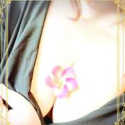 ヒメ日記 2025/07/21 22:15 投稿 千鶴（ちづる） フュージョンスパ