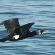 ヒメ日記 2025/01/31 18:08 投稿 玲菜（れいな） フュージョンスパ