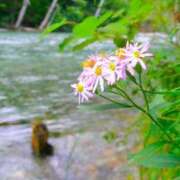 ヒメ日記 2025/10/11 15:54 投稿 玲菜（れいな） フュージョンスパ