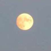 ヒメ日記 2025/11/06 20:30 投稿 玲菜（れいな） フュージョンスパ