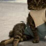 ヒメ日記 2025/12/30 09:20 投稿 玲菜（れいな） フュージョンスパ