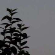 ヒメ日記 2026/02/05 06:29 投稿 玲菜（れいな） フュージョンスパ