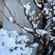 ヒメ日記 2026/02/09 07:20 投稿 玲菜（れいな） フュージョンスパ