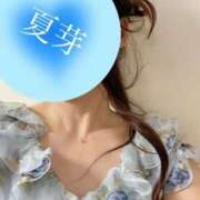 ヒメ日記 2025/07/29 12:26 投稿 夏芽（なつめ） フュージョンスパ