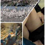 ヒメ日記 2025/04/19 16:57 投稿 椛（もみじ） フュージョンスパ