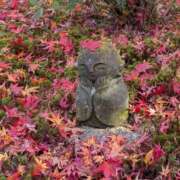 ヒメ日記 2026/03/01 16:47 投稿 椛（もみじ） フュージョンスパ