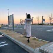 ヒメ日記 2025/03/04 11:01 投稿 Anri LUXURY（ラグジュアリー）