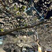 ヒメ日記 2025/04/06 19:01 投稿 Anri LUXURY（ラグジュアリー）