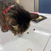 ヒメ日記 2025/01/09 18:27 投稿 せいら 北九州人妻倶楽部（三十路、四十路、五十路）