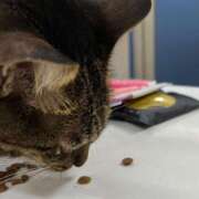 ヒメ日記 2025/01/11 12:25 投稿 せいら 北九州人妻倶楽部（三十路、四十路、五十路）