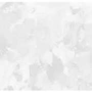 ヒメ日記 2025/01/14 12:20 投稿 せいら 北九州人妻倶楽部（三十路、四十路、五十路）