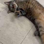 ヒメ日記 2025/01/14 18:29 投稿 せいら 北九州人妻倶楽部（三十路、四十路、五十路）