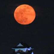 ヒメ日記 2025/01/14 20:07 投稿 せいら 北九州人妻倶楽部（三十路、四十路、五十路）