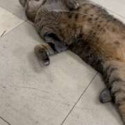 ヒメ日記 2025/01/15 16:37 投稿 せいら 北九州人妻倶楽部（三十路、四十路、五十路）