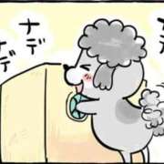 ヒメ日記 2025/01/25 11:59 投稿 せいら 北九州人妻倶楽部（三十路、四十路、五十路）