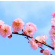 ヒメ日記 2025/02/04 22:40 投稿 せいら 北九州人妻倶楽部（三十路、四十路、五十路）