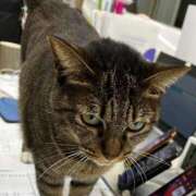 ヒメ日記 2025/02/06 17:43 投稿 せいら 北九州人妻倶楽部（三十路、四十路、五十路）