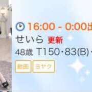 ヒメ日記 2025/03/31 11:32 投稿 せいら 北九州人妻倶楽部（三十路、四十路、五十路）