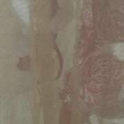 ヒメ日記 2025/04/09 10:47 投稿 せいら 北九州人妻倶楽部（三十路、四十路、五十路）